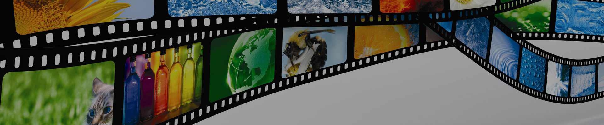 Video Gallery